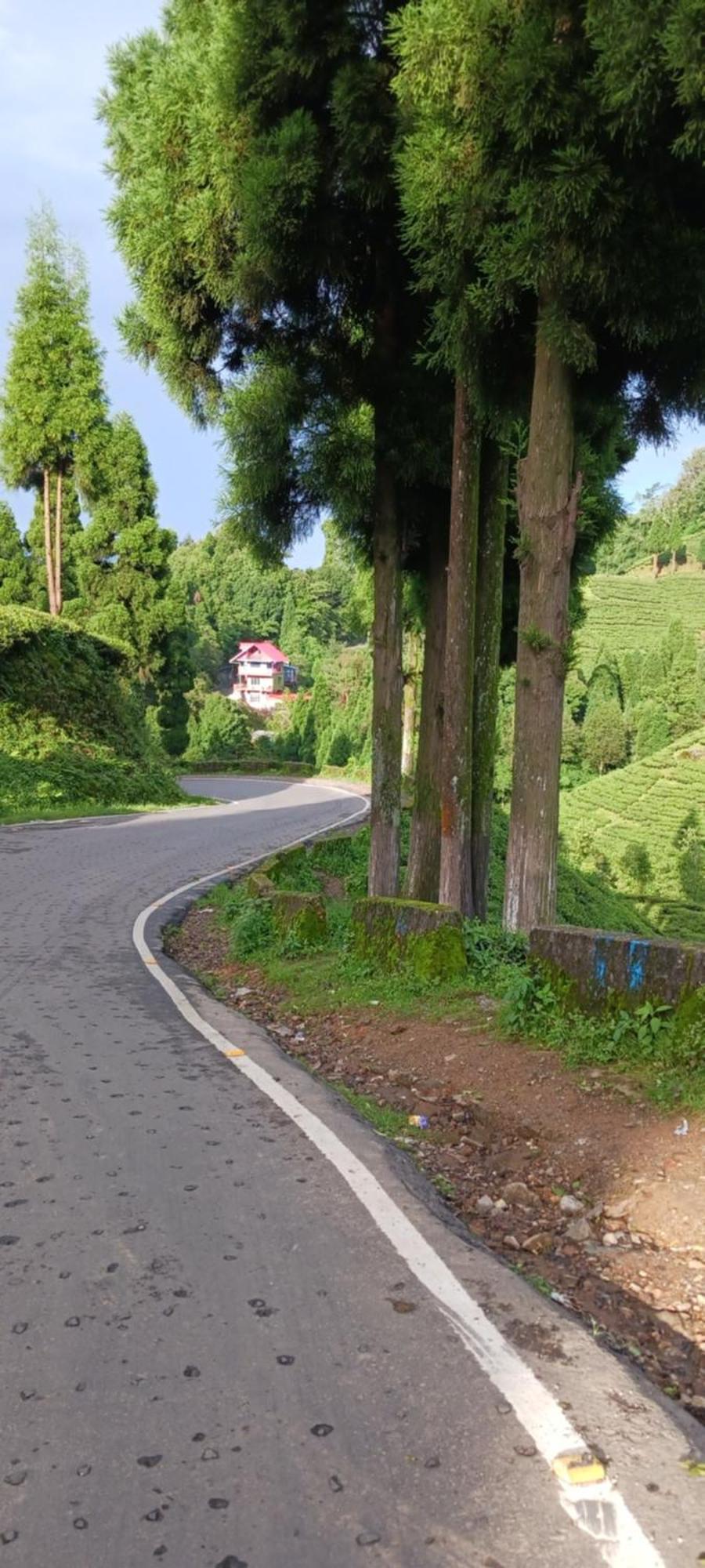 Lotus Homestay Darjeeling  Exteriör bild